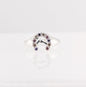 Anillo Equus